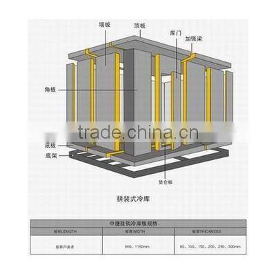 Cold room PU sandwich panel freezer room with hinge doors