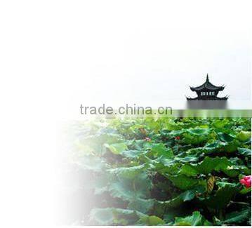 High Quality YA.ZDI Series Single Distillation Series Stainless Steel Electric Wat Distiller with best price