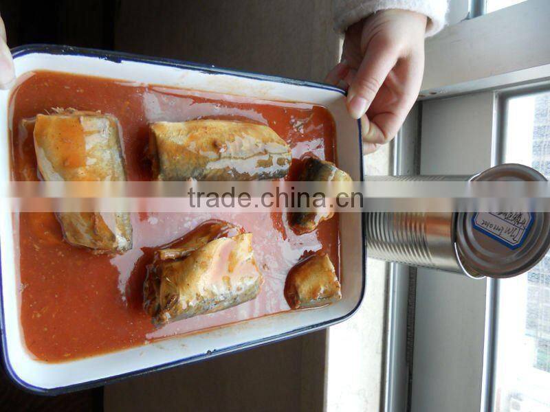 Frozen canned mackerel fish in brine 425g