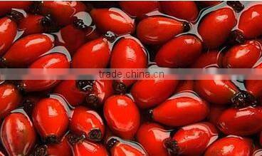 100 pure natural ROSE HIP SEED oil,rosehip oil