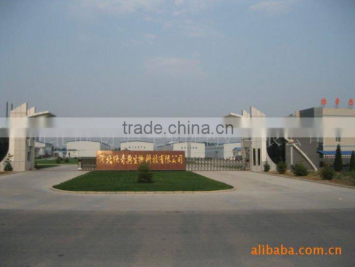 Conjugated Linoleic Acid FFA 95%