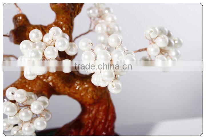 Chinese Money Trees hot sales