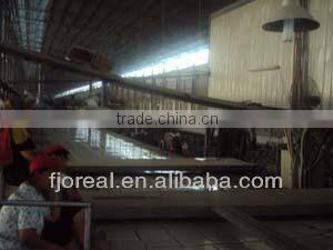 Digital Wall Tile 300x600mm for Exterior