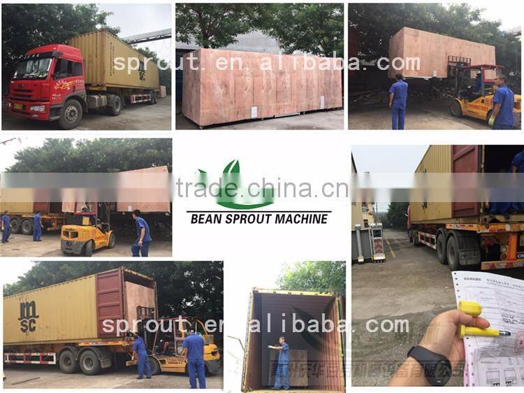 High Quality Bean sprout machine