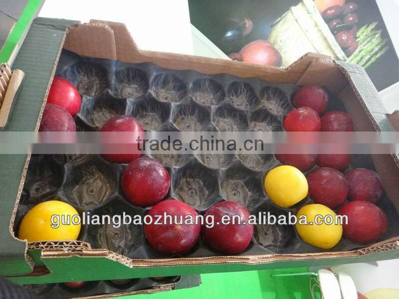 Flat Plastic Fruits Tray