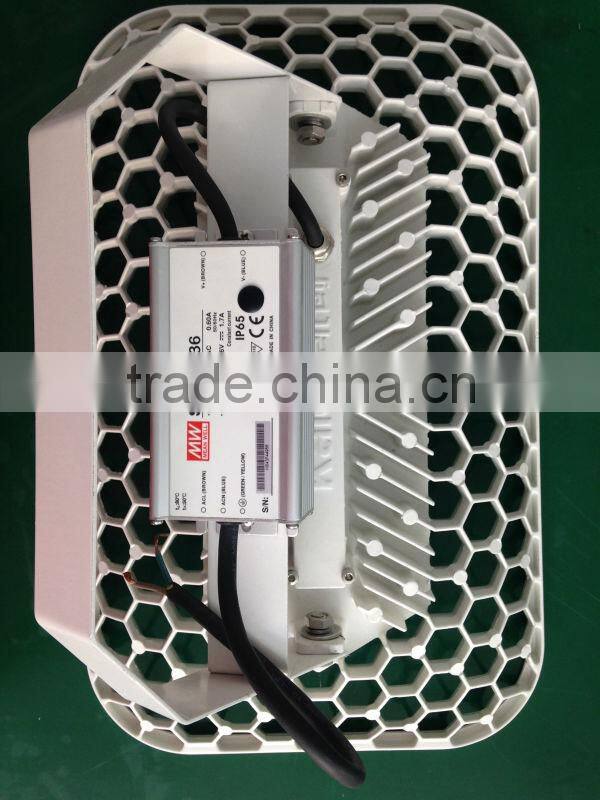 110V / 220V Input LED Flood light with Meanwell driver