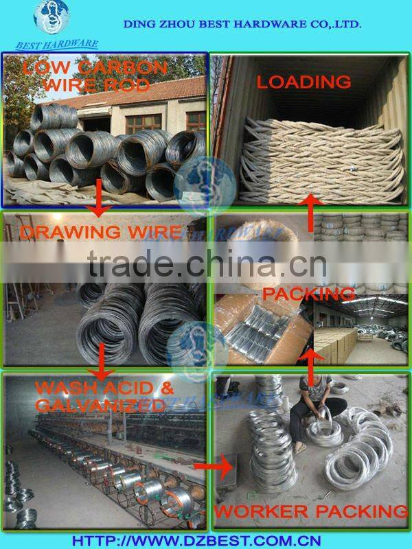 zinc coated galvanized iron wire