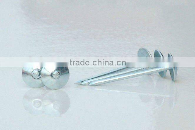umbrella head roofing nail