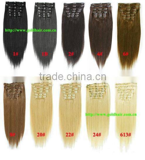 Clips In Hair / Clips On Human Hair Extensions / Clip-in