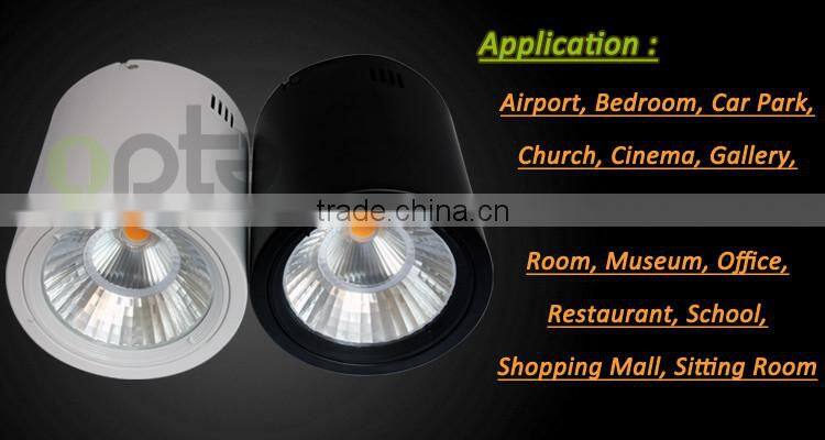 housing white surface mounted COB led downlight 25w