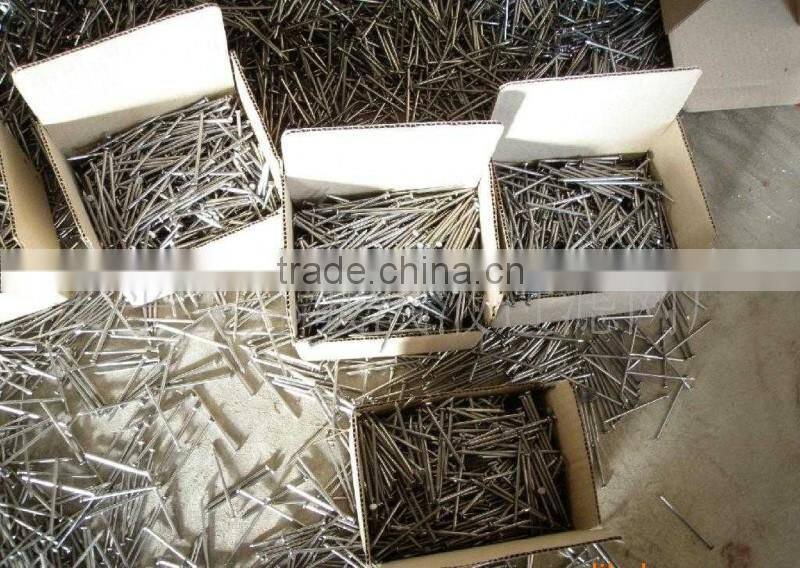 Common Nails with good quality