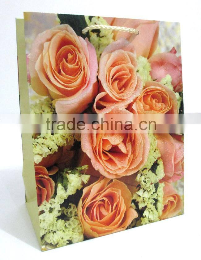 design paper bag shopping gift bag