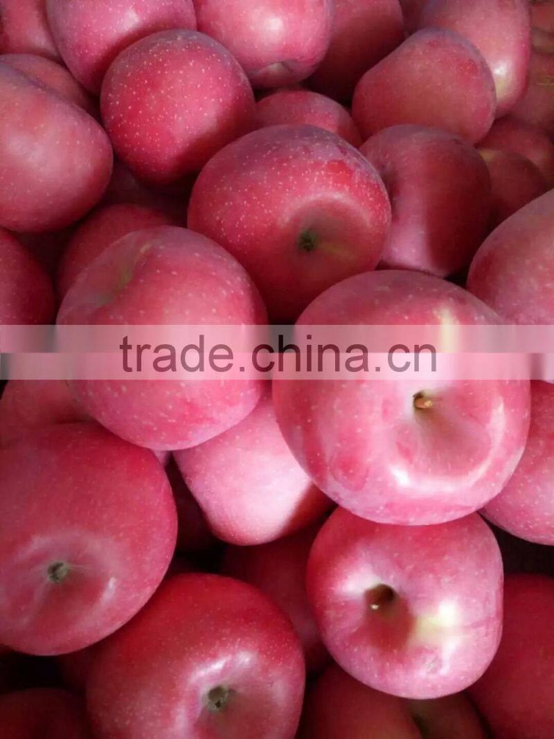 chinese red fuji apple suitable for long time shipment