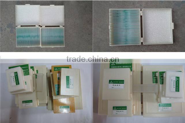 College and University Preparation Human Educational Pathology Slides