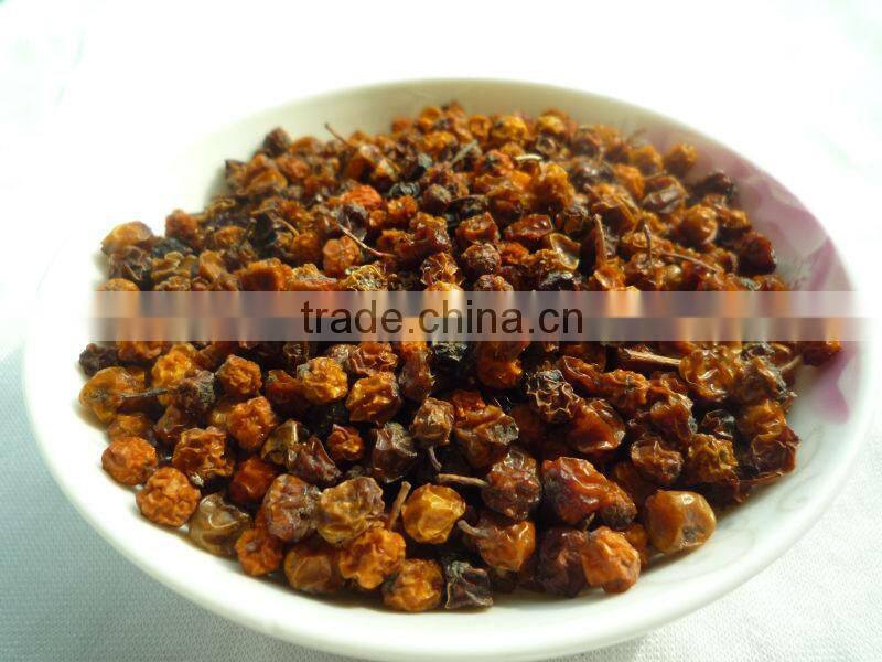 Dried wild red sorbus fruit