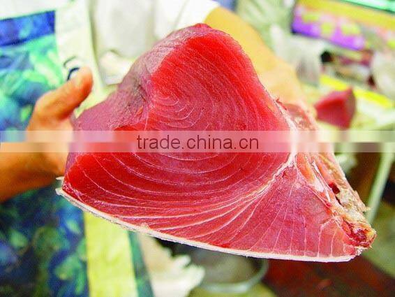 Bulk Wholesale Best Canned Tuna Fish with canning fish Price