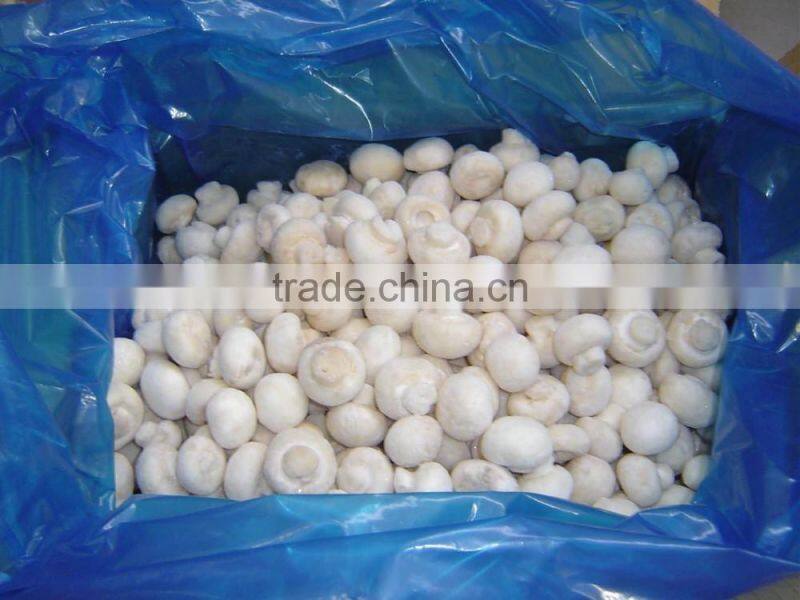 Frozen mushroom champignon whole/sliced top quality