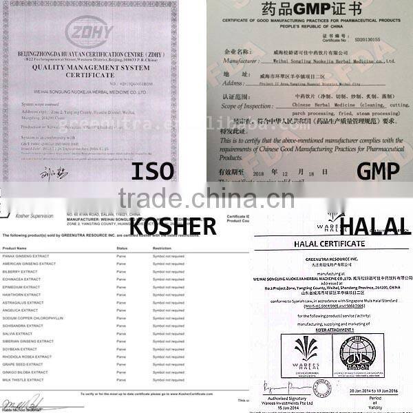 Natural Wheat Grass Powder