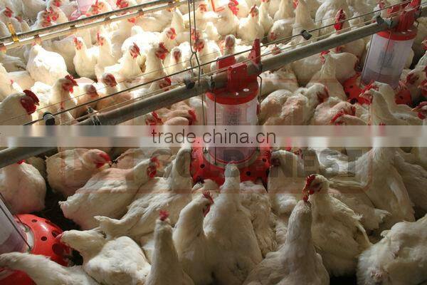 chicken breeding equipment