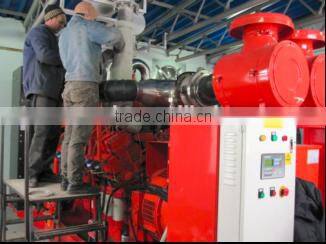 Camda lpg generator/Gas generator/Power plant