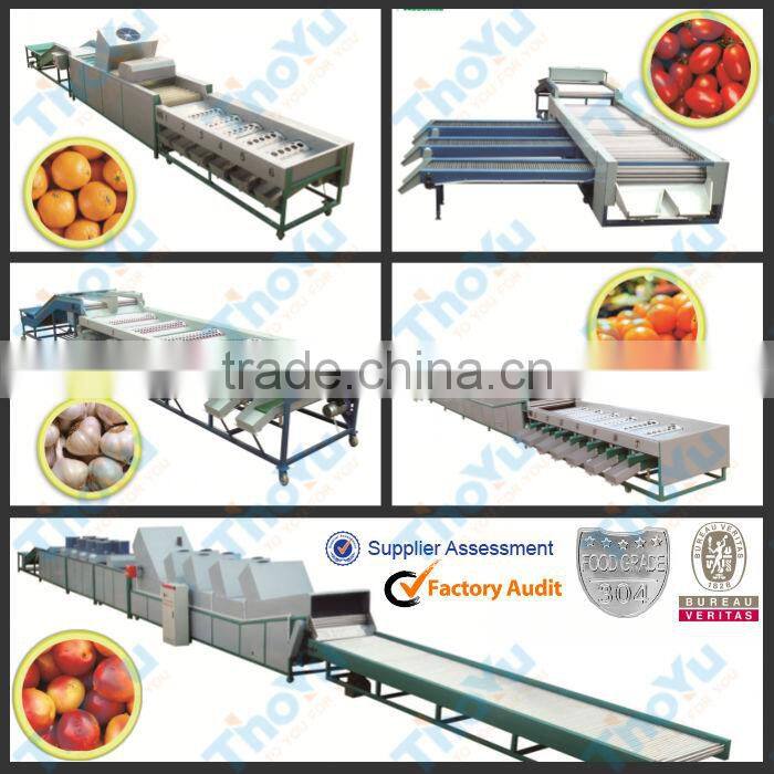 Thoyu Brand Salable Automatic Fruit Grading Machine by Size(SMS: 0086-15903675071)