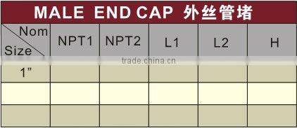 PVC Male End Cap BS 4346 /PVC Caps