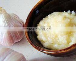 Compact Structure Onion Crushing Machine