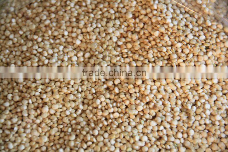 quinoa sorting machine color sorter