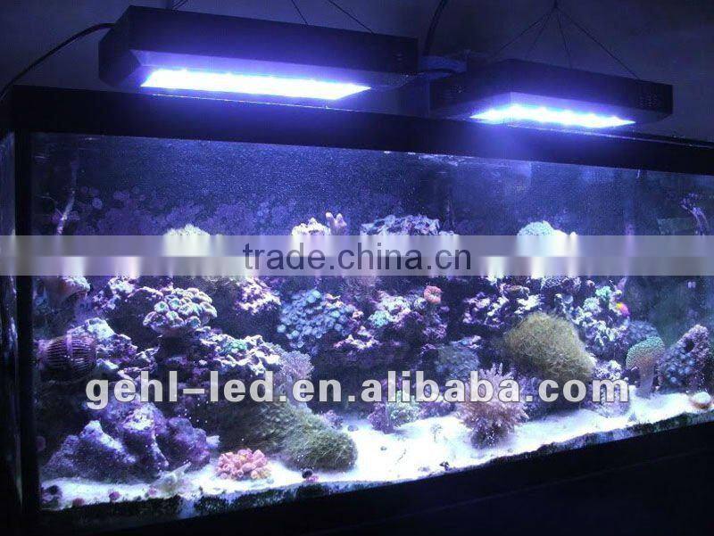 55x3w dimmable aquarium led lighting for salt water