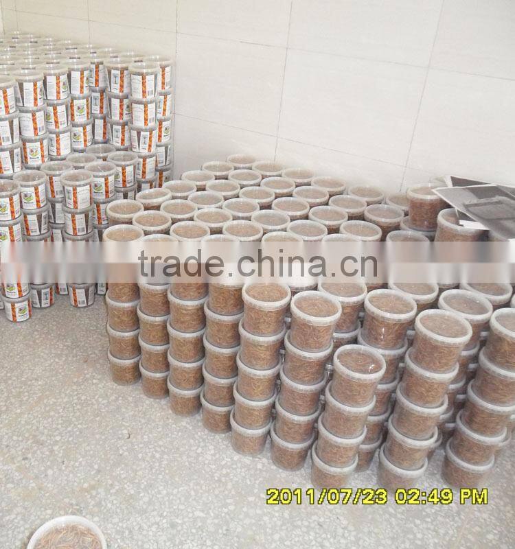 Top quality dried mealworm, KOI TASTIC / koi and pond fish food mealworm