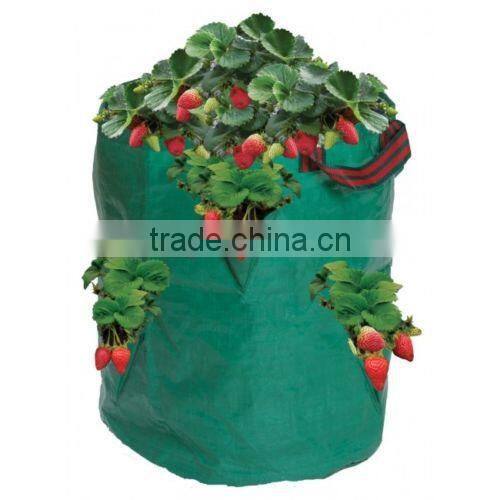 Wholesale PE Garden Strawberry Planter