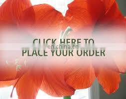 Scaffolding Construction Materials Galvanized Acro Jack/Steel Prop For building