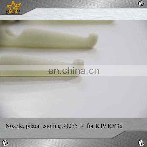 100% original diesel engine PARTS piston cooling nozzle 3007517 for CUMMINS K19