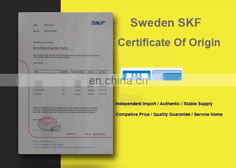 High Quality 6200 6201 6202 6203 6204 6205 6206 6207 6208 C3 Z ZZ DDU Deep Groove Ball SKF Bearing SKF