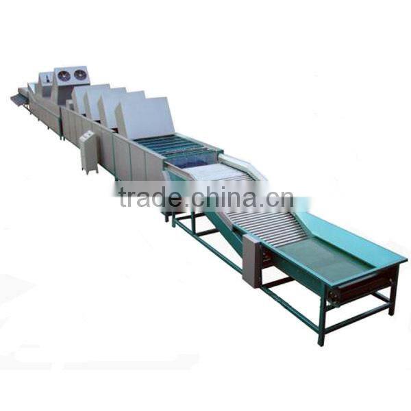 Good quality tomato cleaning waxing drying and grading machine