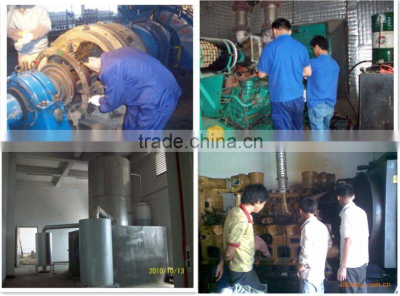 250kva Professional Power Open Magnet Diesel Engine