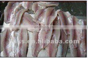 Automatic Fish Skin Peeling Machine