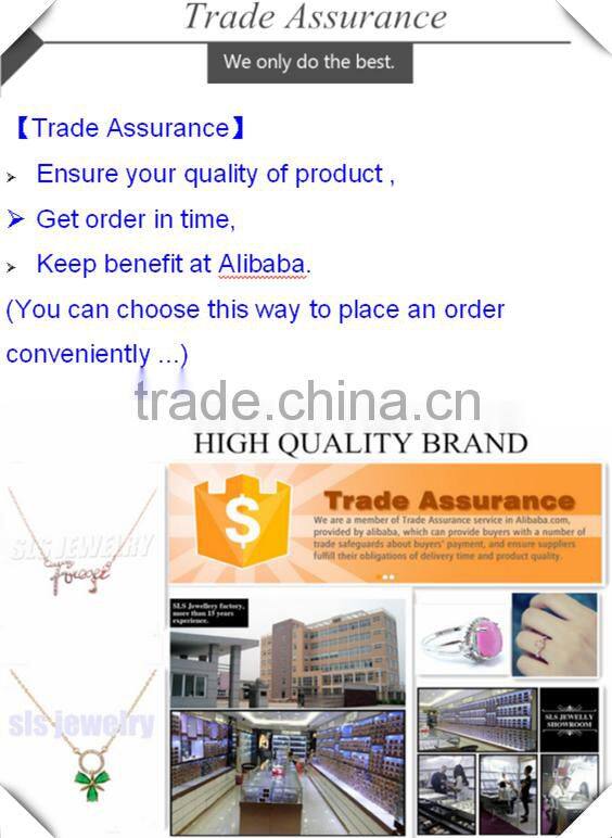 Sheng lei shi jewelry limited wholesale brazil earrings for boys sterling Silver Twin Hoop CZ Earrings