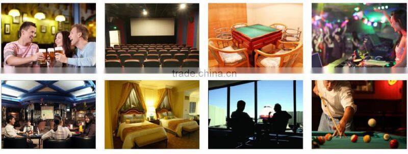 electrical power source air purifier-Ecare X1/X2