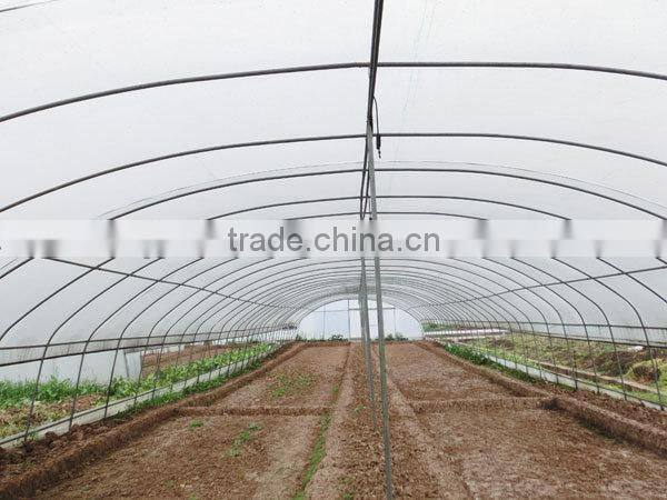 Tunnel Greenhouse for Agriculture