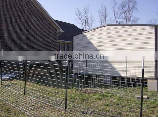 regular duty 1.25lb /f cheap Australian & Newzealand Steel Y Post / Star Picket