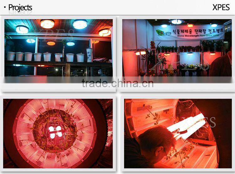 For sale hydroponic medical plant bi-spectrum induction grow light 300w