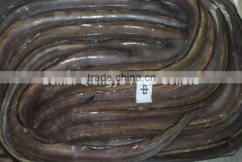 wholesale frozen seafood conger eel