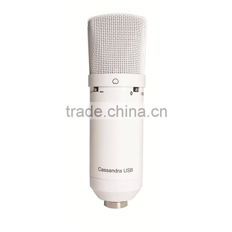 Large capsule condenser USB microphone,studio microphone