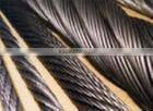 manufacture for 304/316 6*19+FC galvanized steel wire rope for fishing
