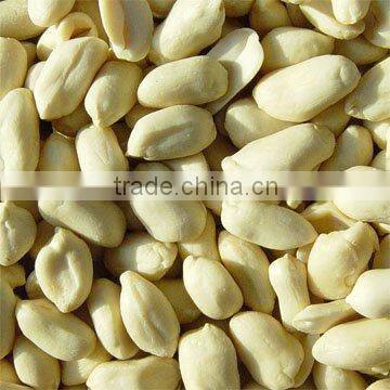 blanched peanut kernels long type