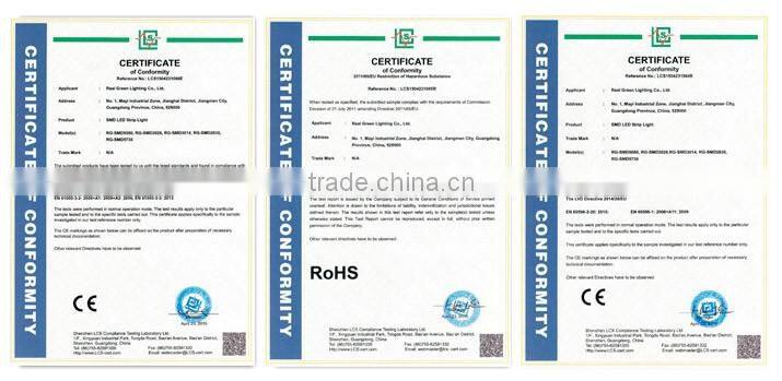 Special Decoration Amer 12V LED Rope Light