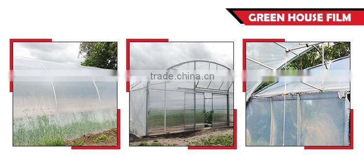 Hot sale greenhouse film for fruit
