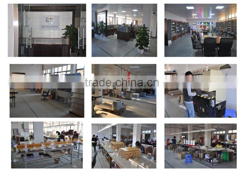 MB Display Box Acrylic Case LED Light House for Crystal Harp