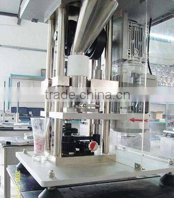 Bench Top Tablet Press ( tablet press machine )